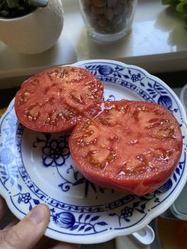 Aunt Lou‘s Underground Railroad